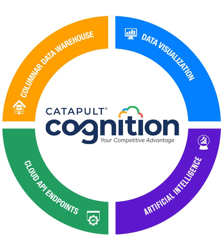 cognition - quadrants - graphic 202410